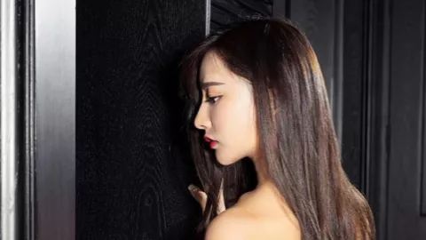 谢霆锋重庆演唱会山寨版事件