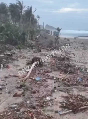 超强台风桦加沙路径