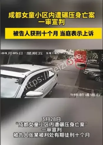 特斯拉碾压女童二审